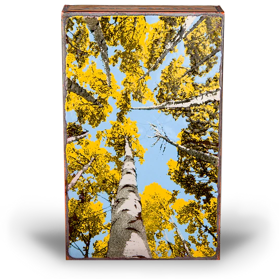 Depth Perception - Image 2