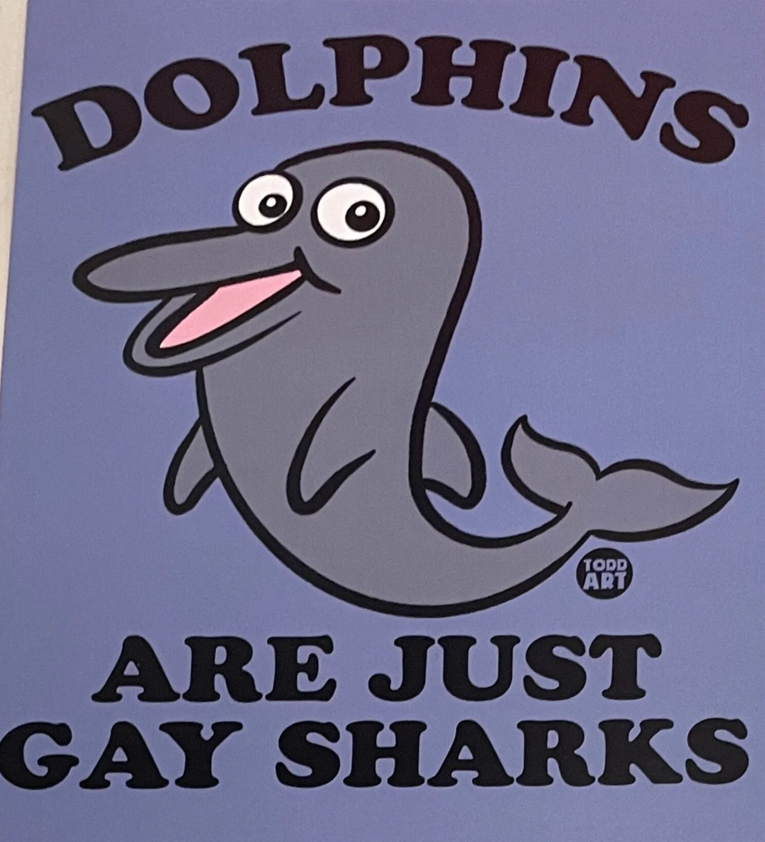 Dolphins Are Just Gay Sharks