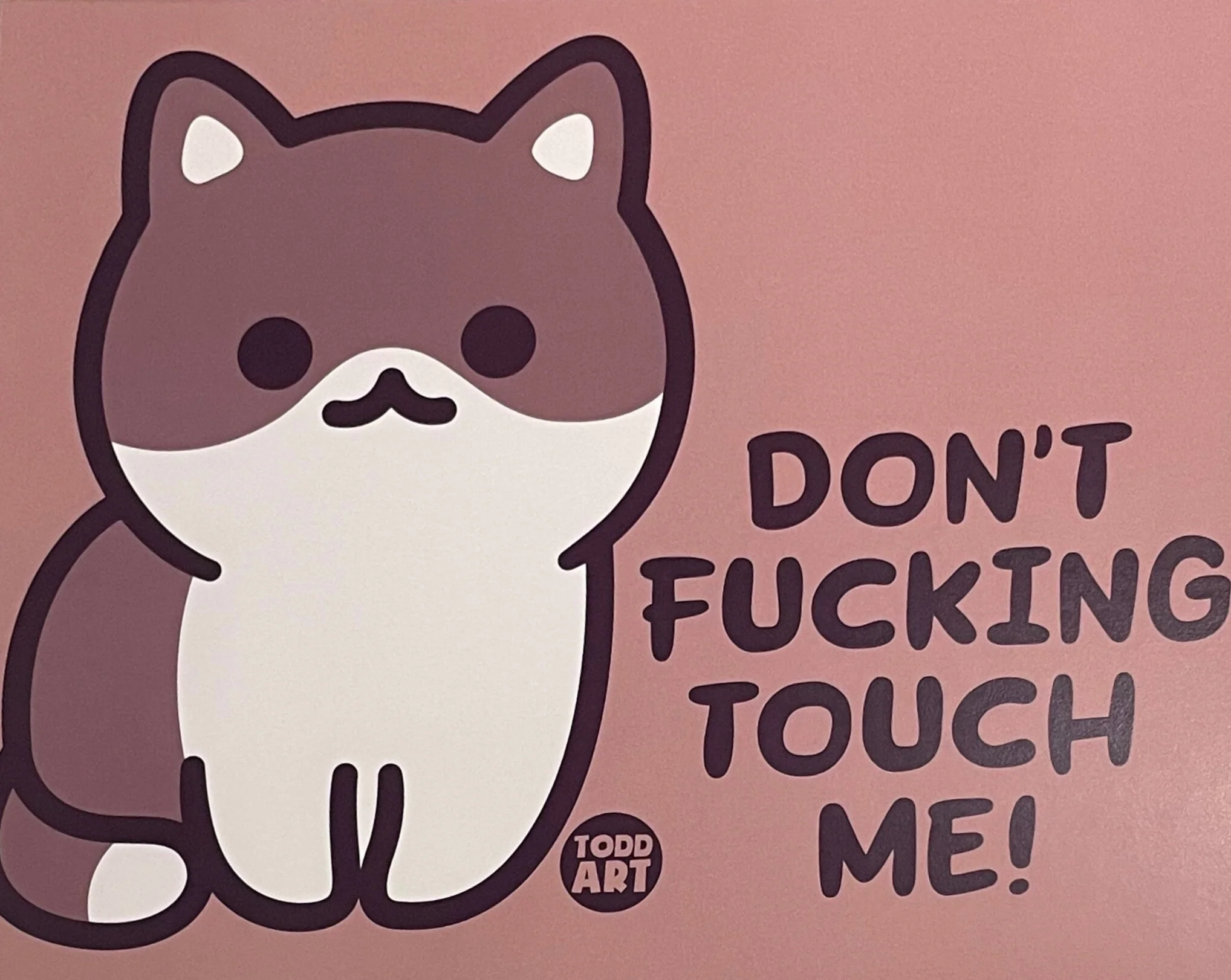 Don't Fucking Touch Me!