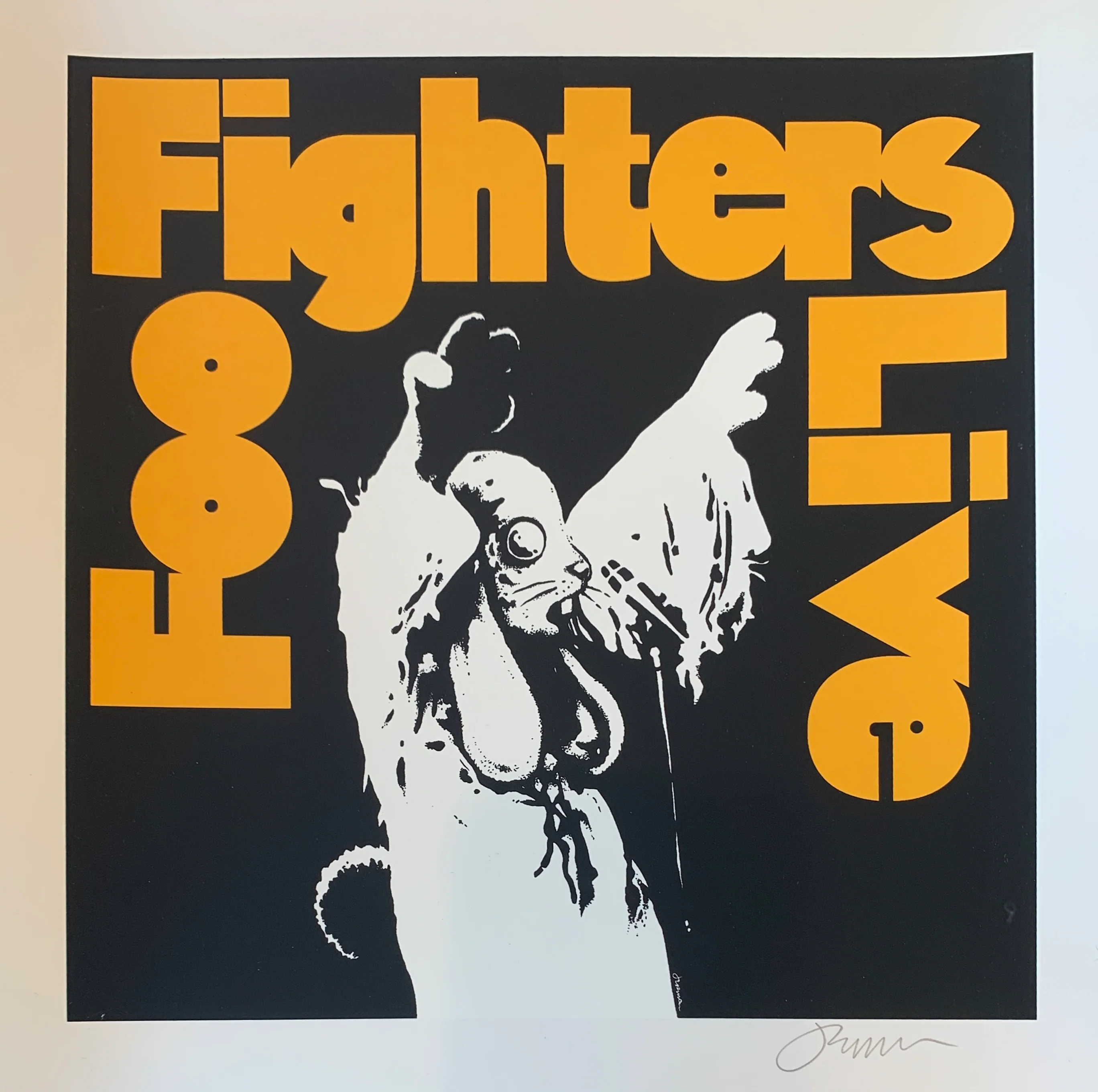 Foo Fighters - LIVE - Cream