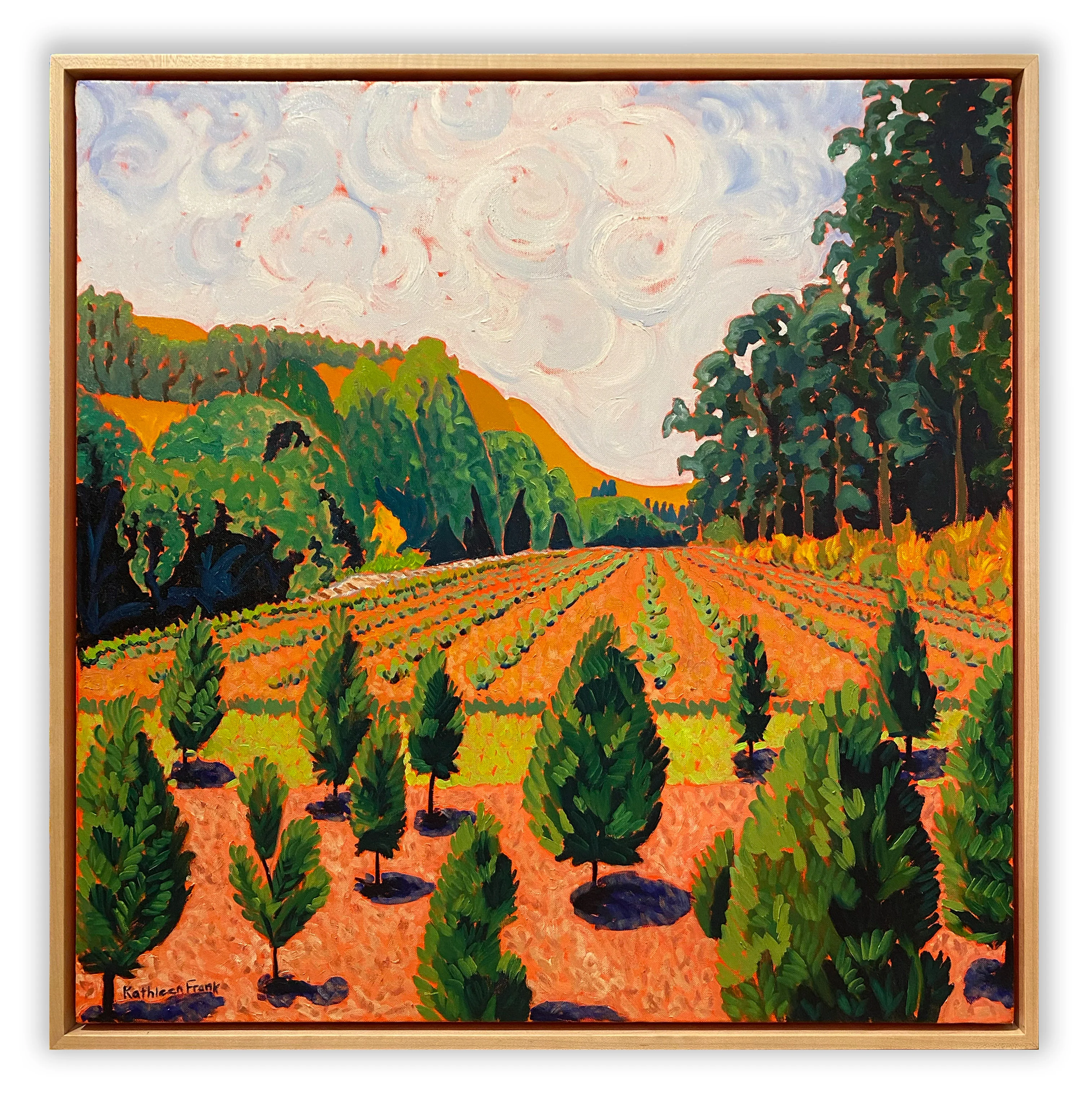 From the Back Mountain Tree Farm - Image 2
