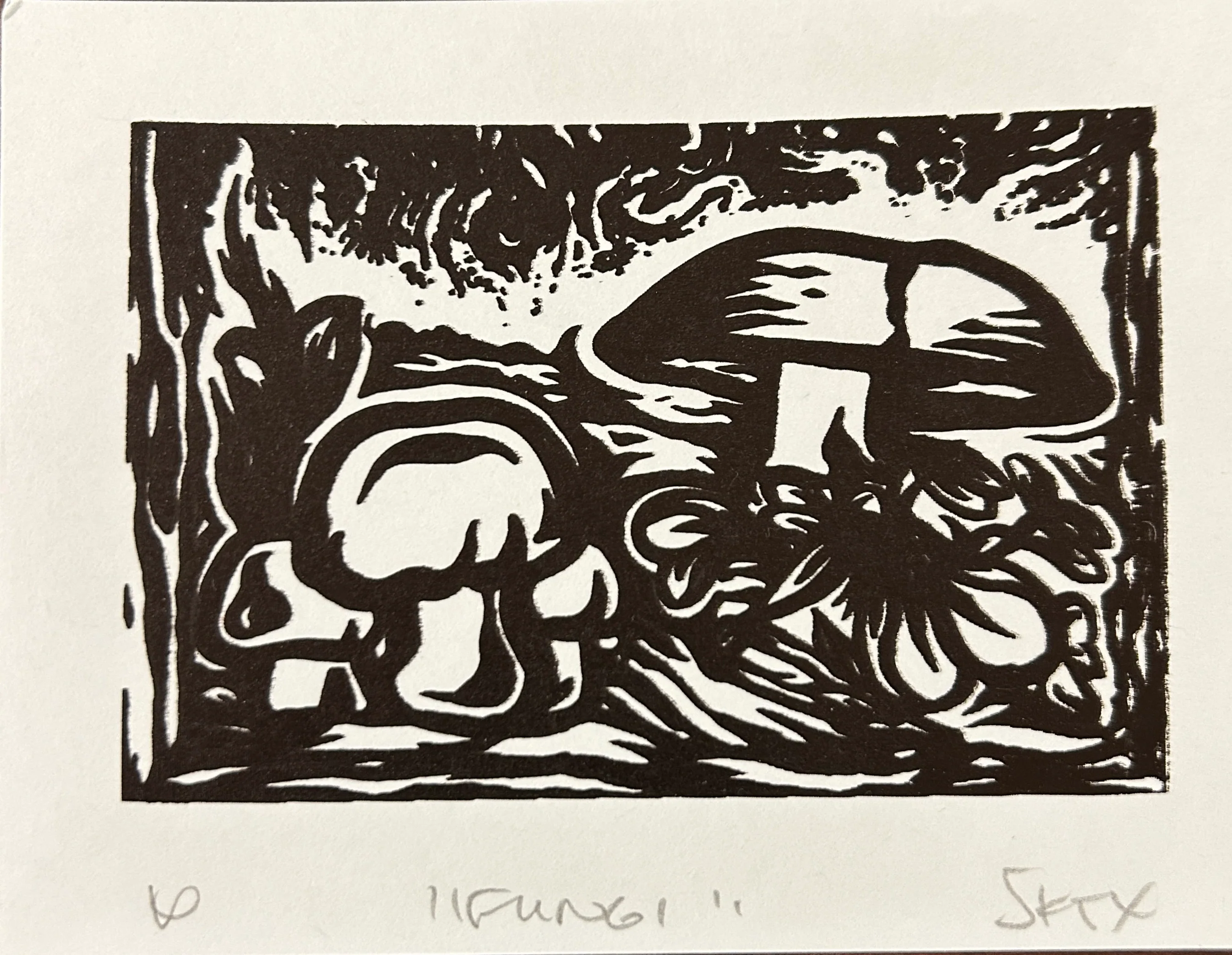 Fungi II - Image 3