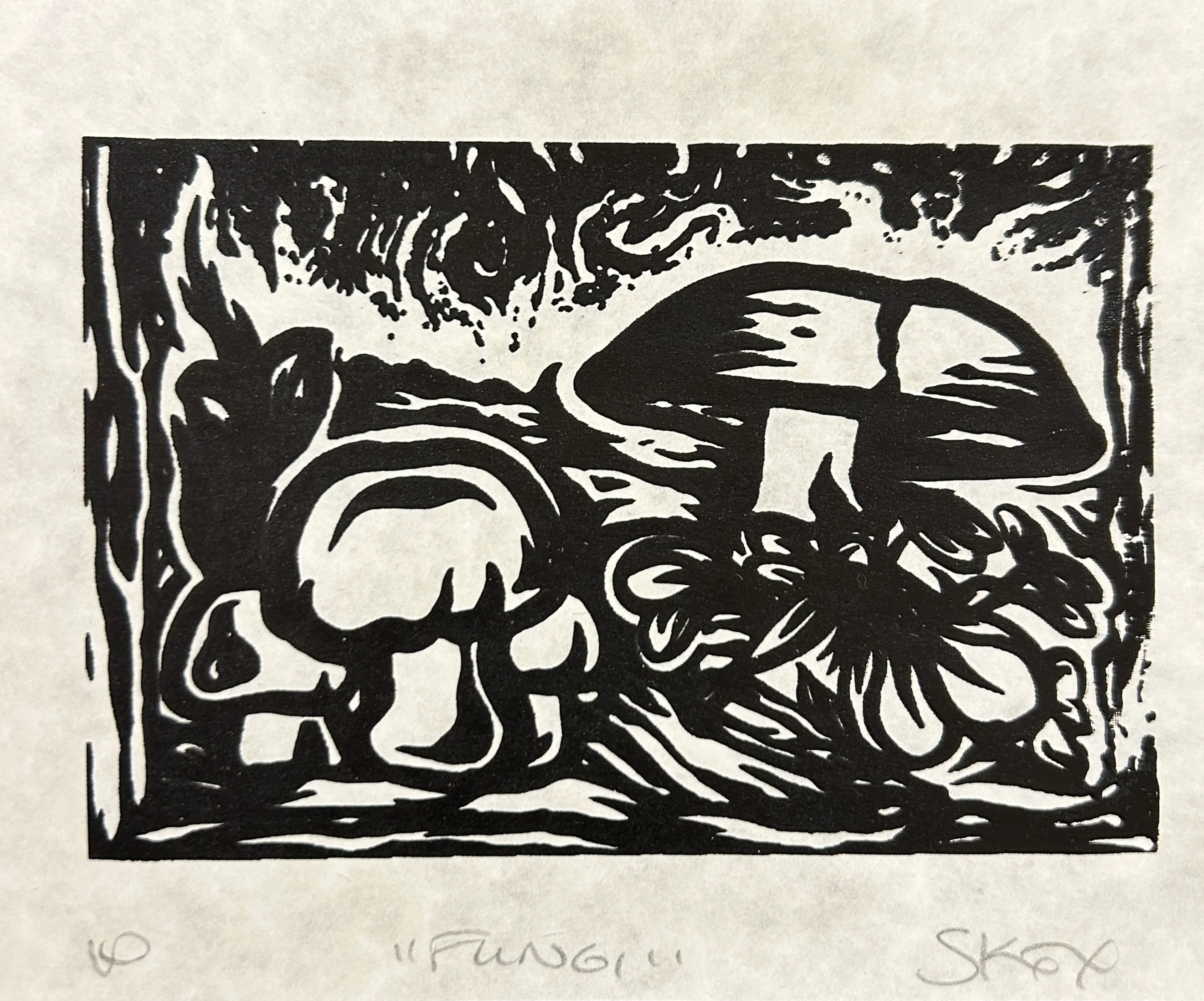 Fungi II - Image 4