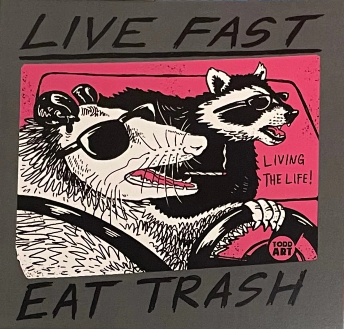 Live Fast, Eat Trash