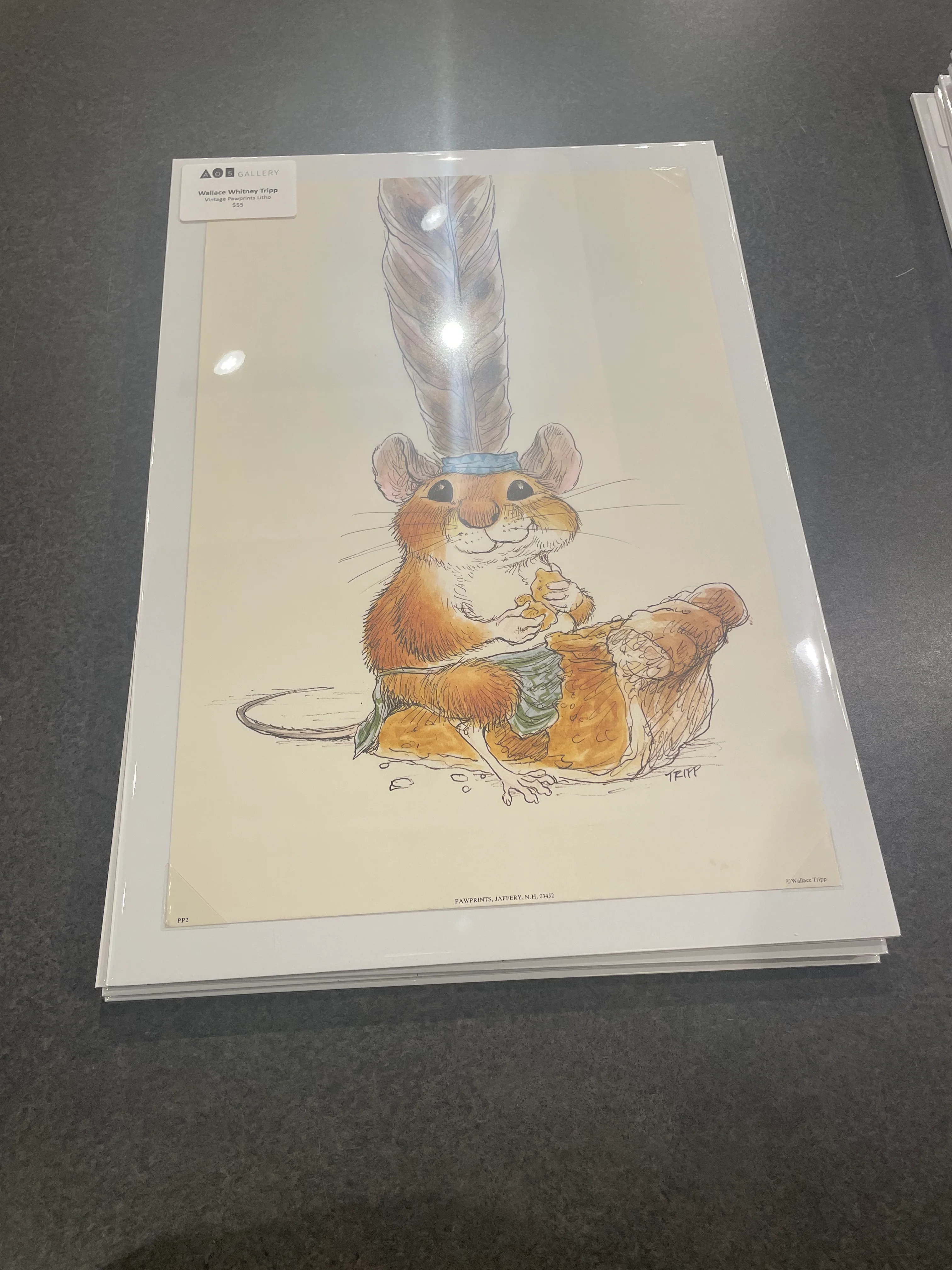 Tripp Illustration - Pawprints - Mouse eating pie