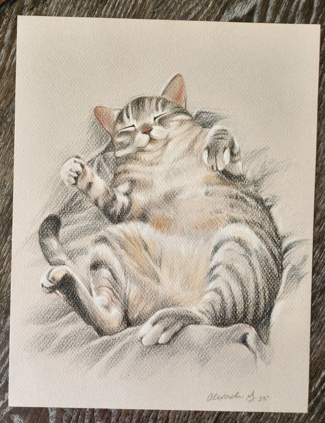 Pet Portrait Commission - Image 3