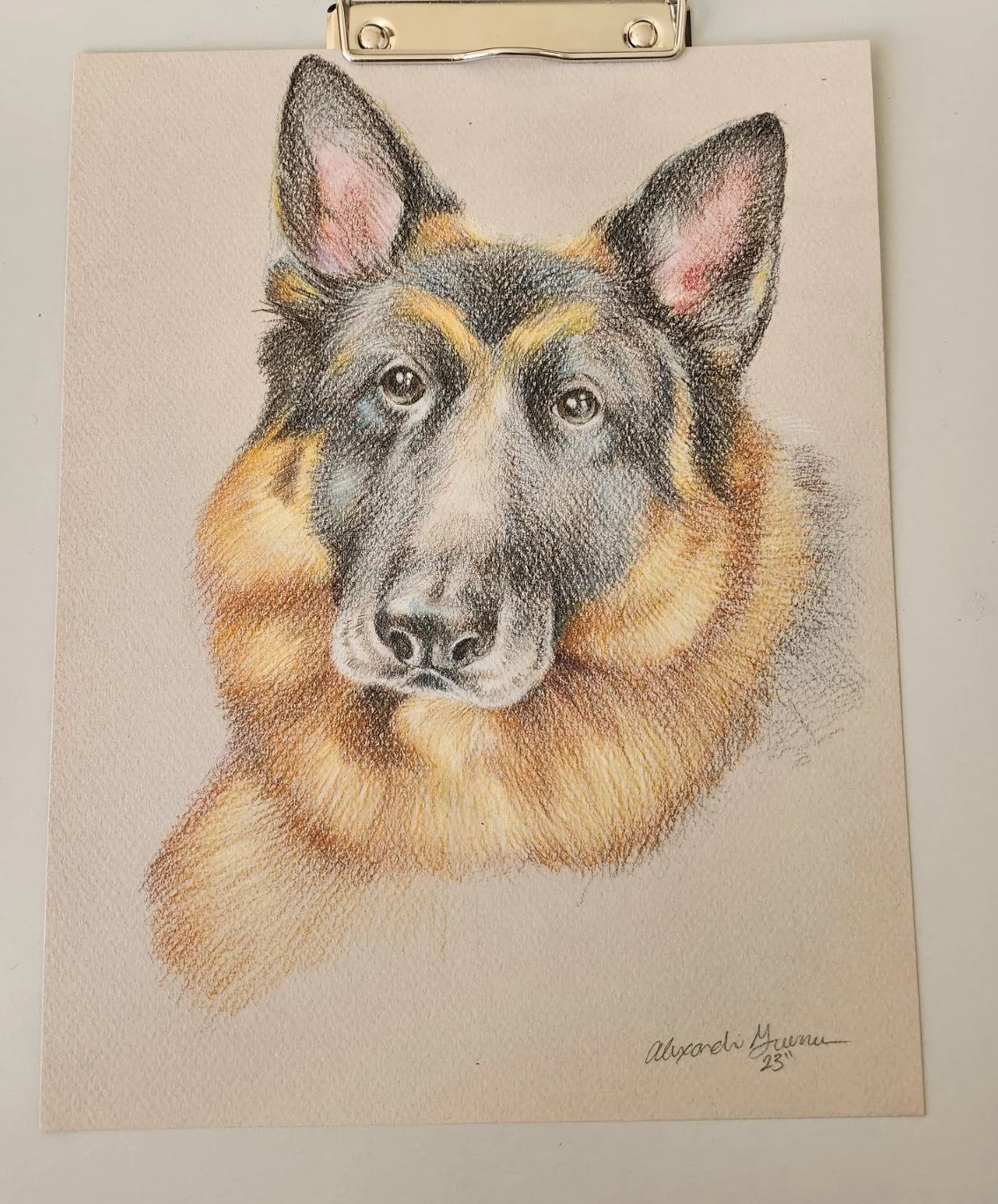Pet Portrait Commission - Image 4