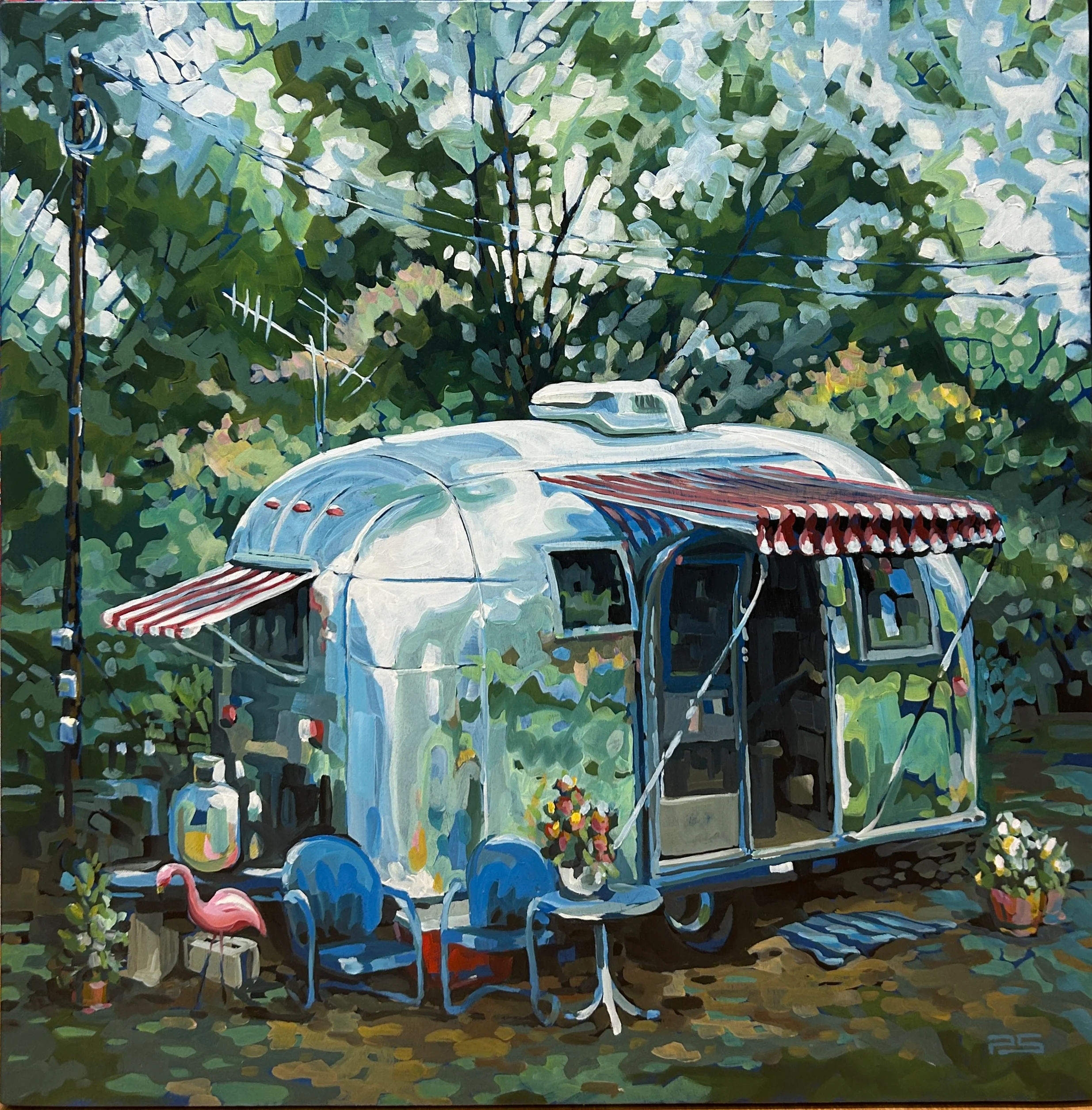 Shady Grove Chrome Dome Paradise