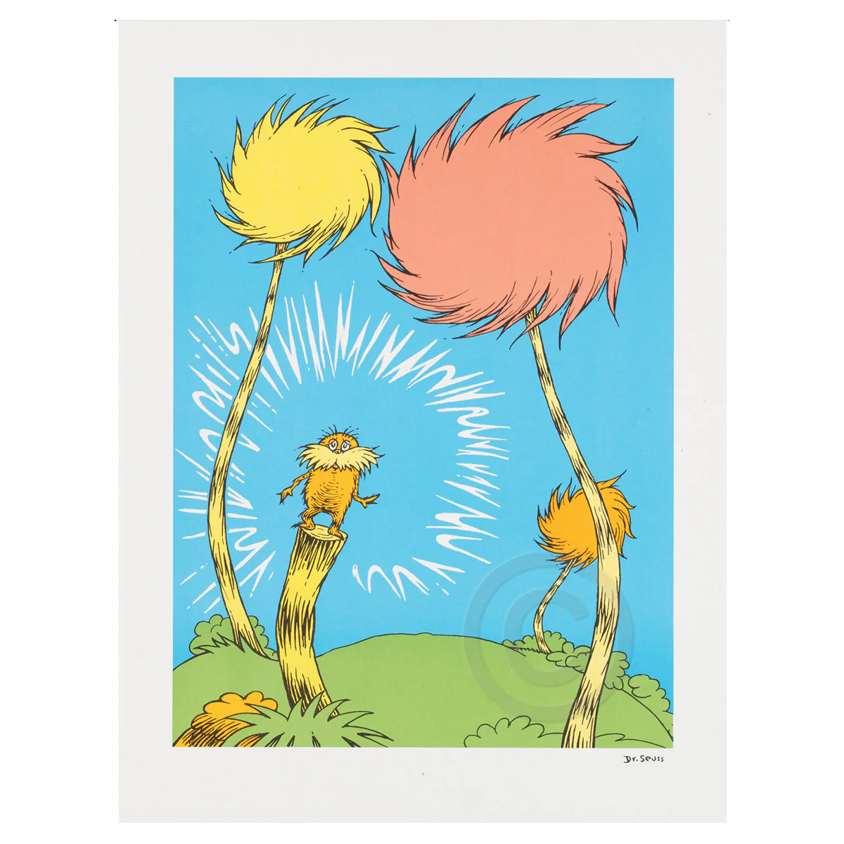 Lorax Book Cover