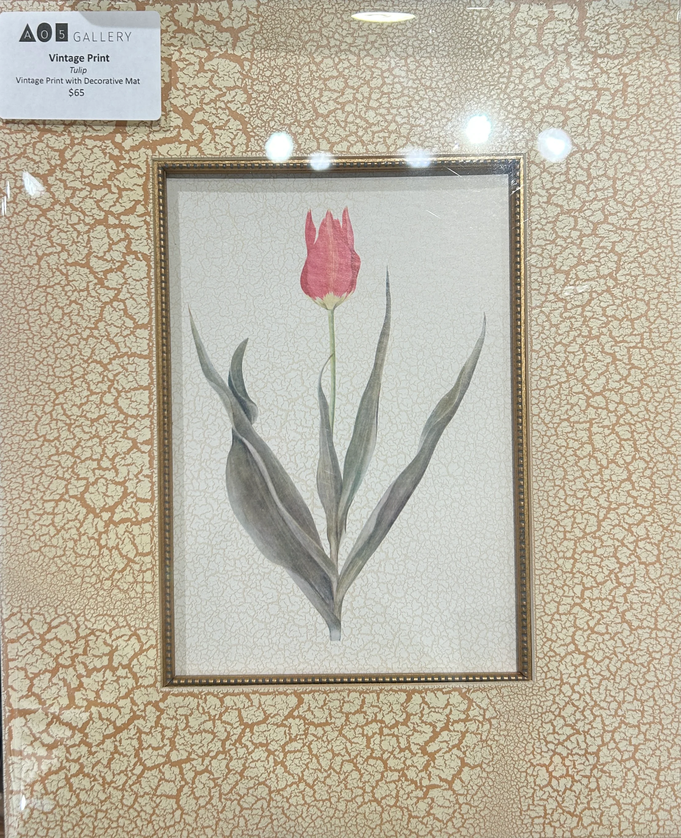 Vintage Tulip