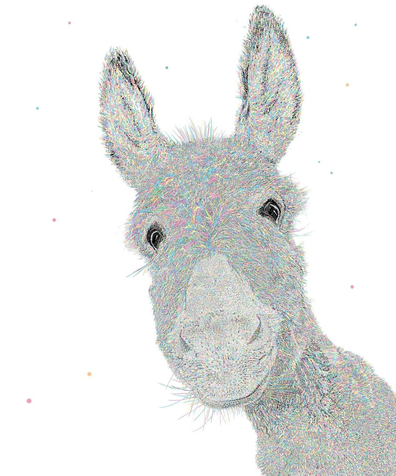 Wallace - Donkey 116/250 - Framed