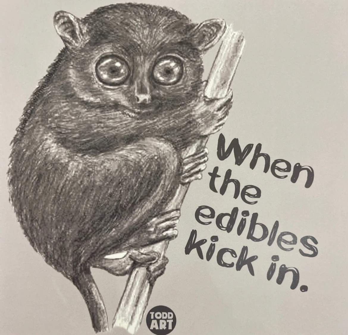 When the Edibles Kick in