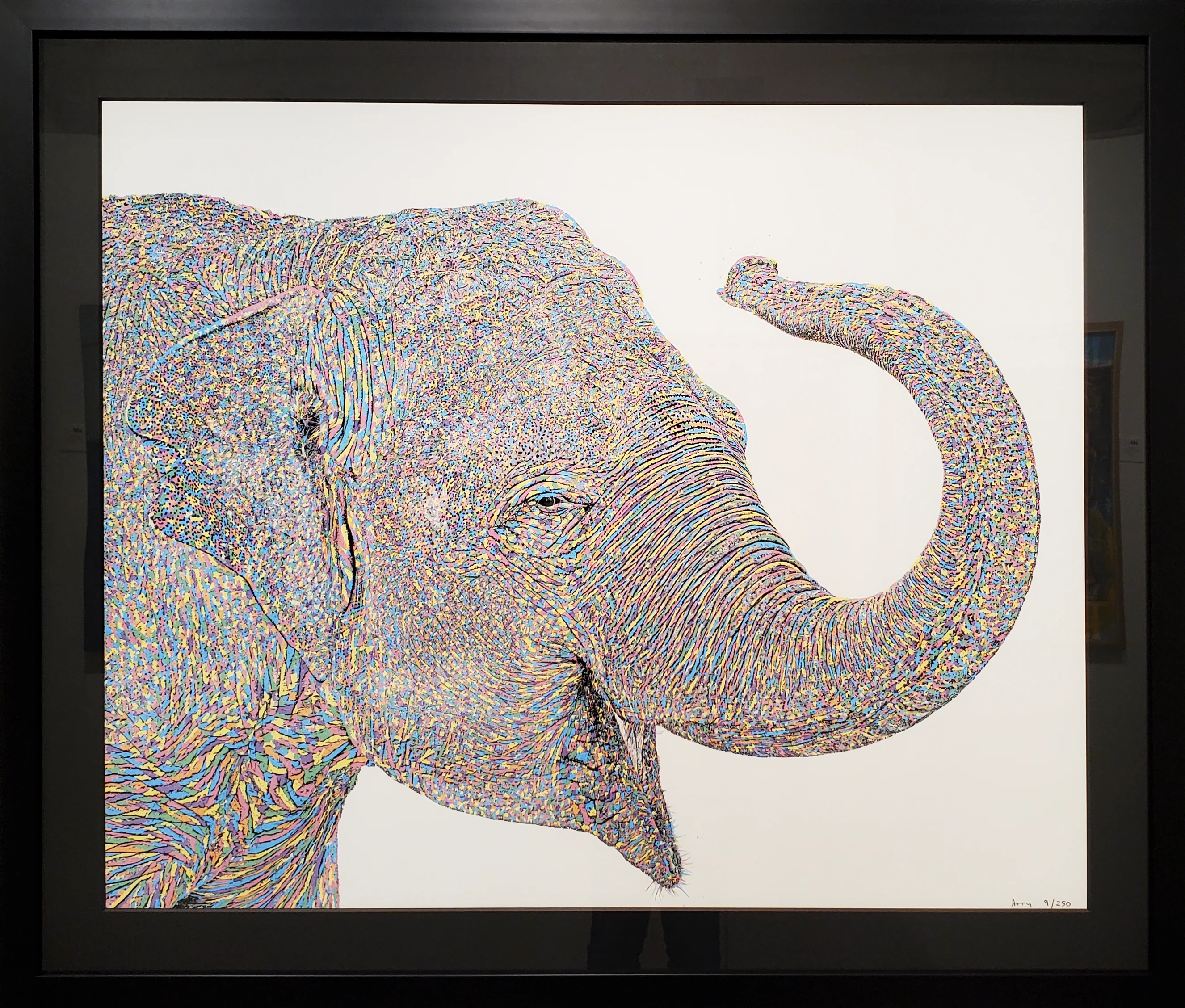 Wilma - 9/250 - Framed - Image 2