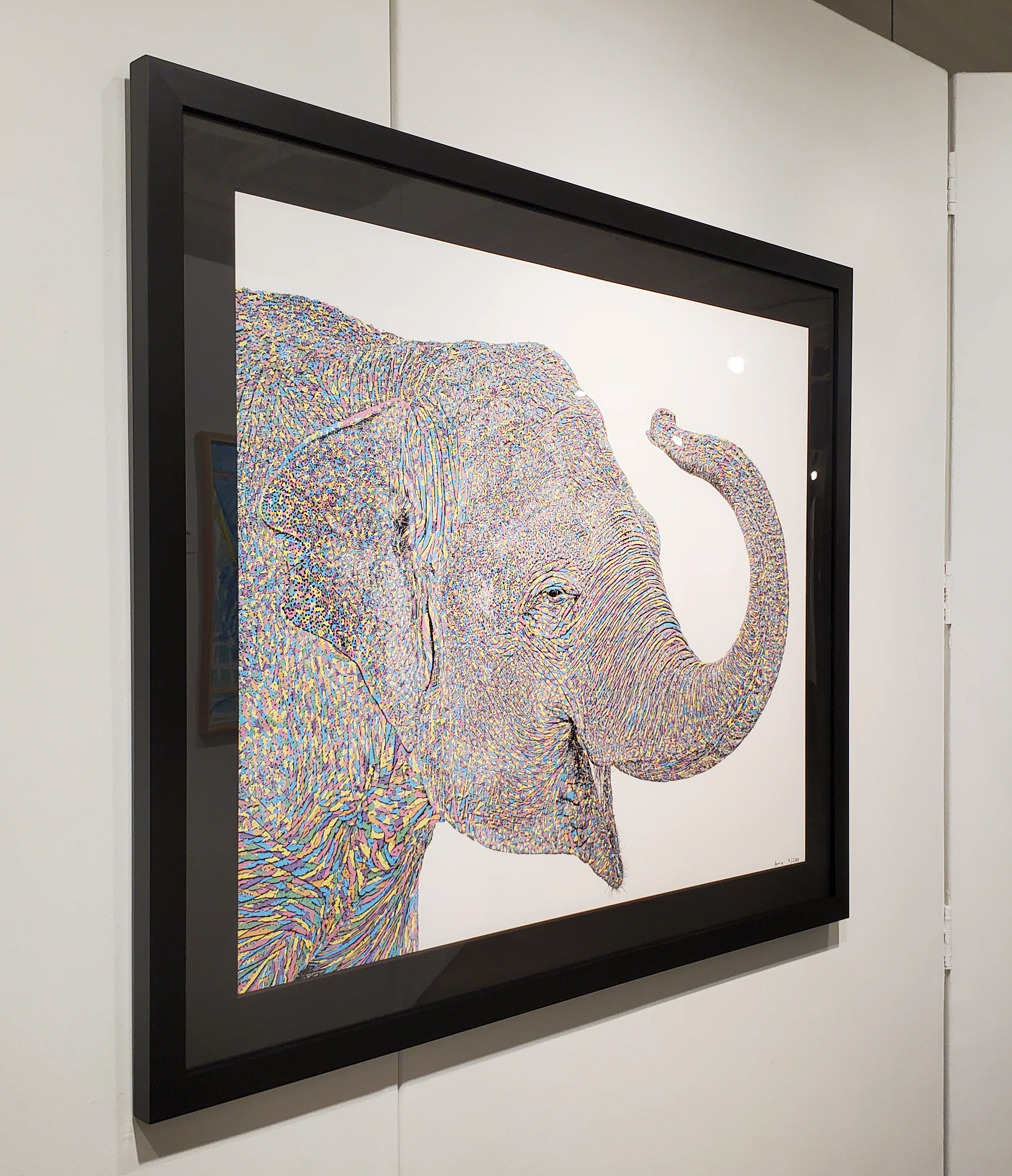 Wilma - 9/250 - Framed - Image 3