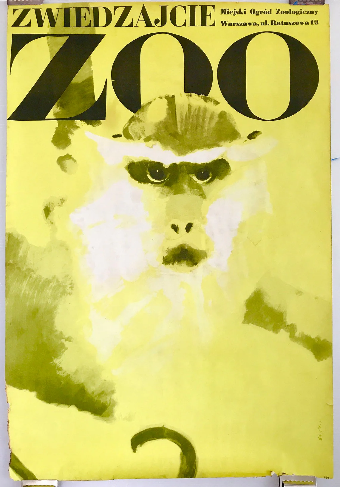 Zwiedzajcie ZOO